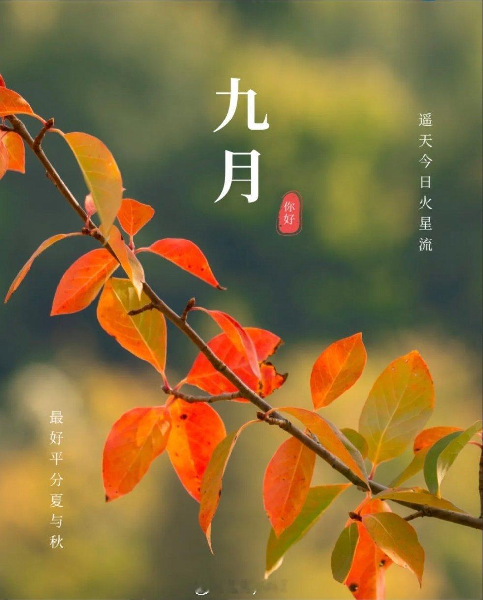 △²⁰²⁴/₀₉.₀₁ 👋🏻𝗛𝗲𝗹𝗹𝗼𝗼𝗼𝗼𝗼 𝟵月 .