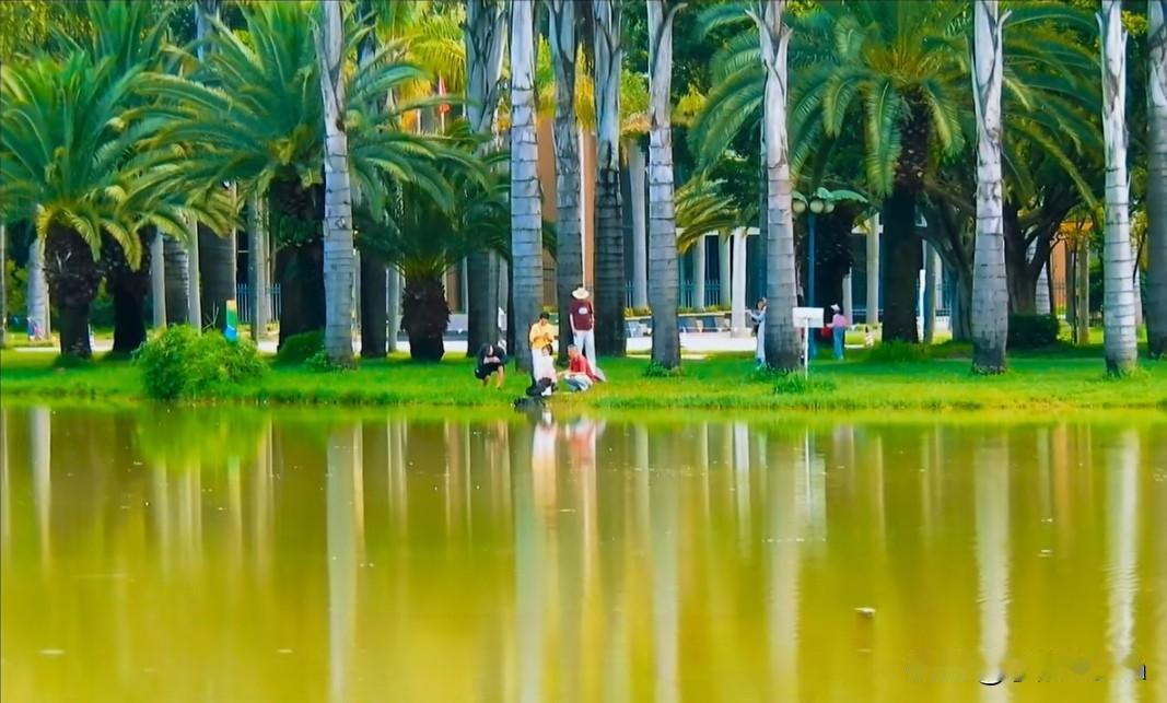 人生旅途，是一场寻找自我的征程，每一步都在接近那个最真实的自己。