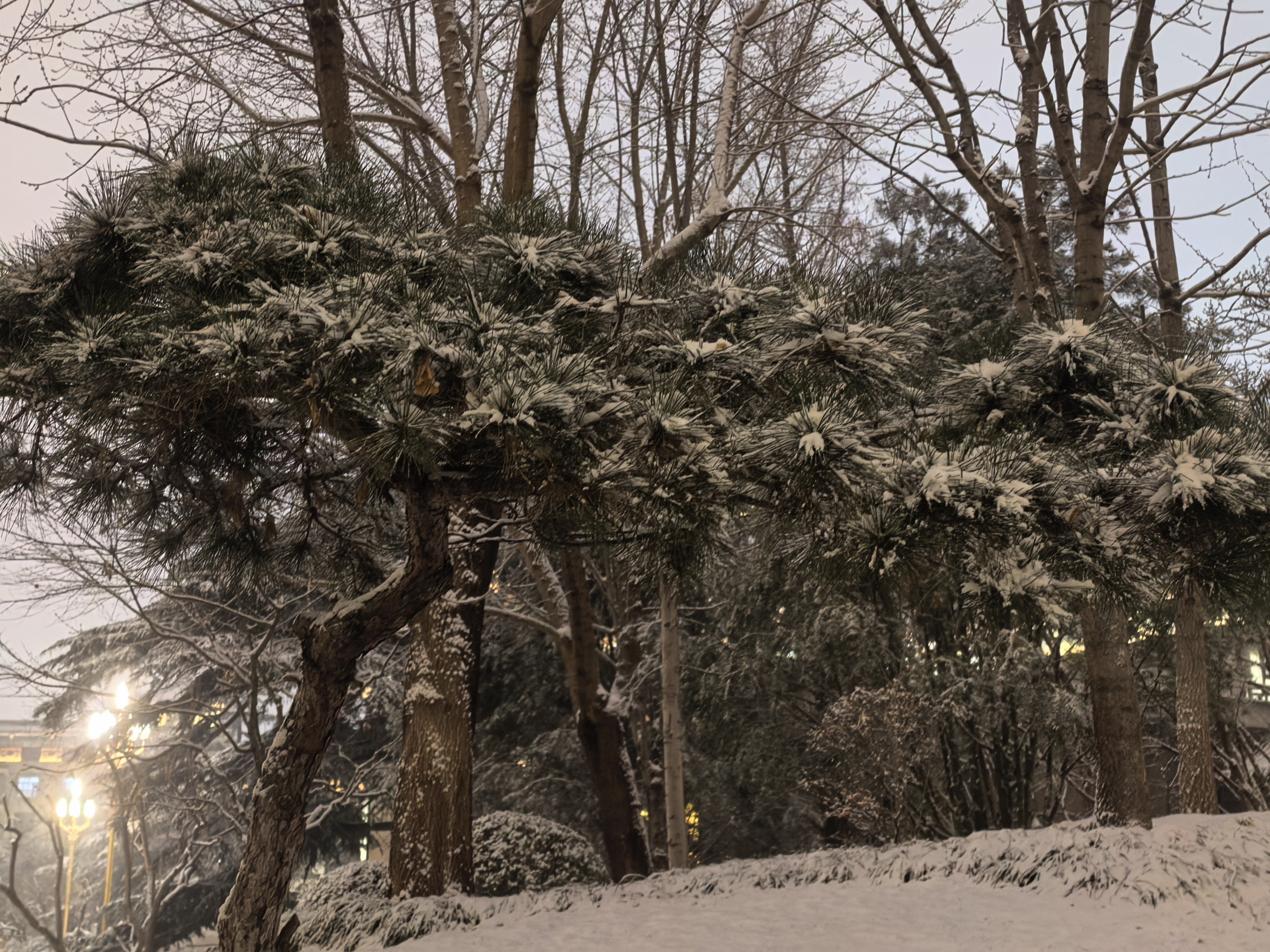 S-昨晚的一场瑞雪，覆盖了京城。伊朗局势对市场的短期冲击，告一段落。     那