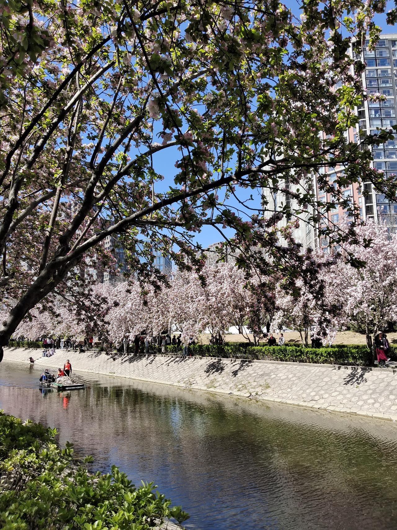 做家政的姐妹们，我想问问你们，做家政是不是会上瘾。虽然我干的不开心的时候，哭着喊