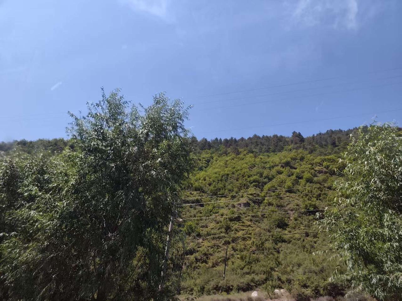 夏日生活打卡季 一路走过一片绿地，思绪也跟着飘远。想起曾在不同月份走过不同城市，