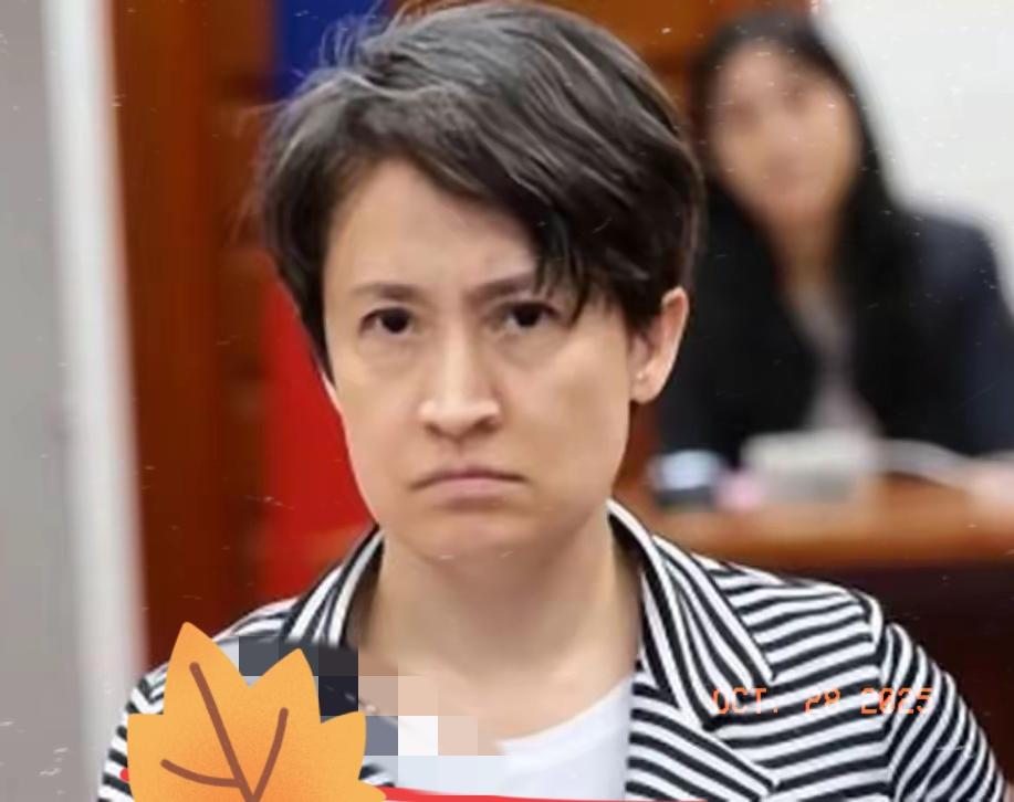 台当局官网今天（10月28日）公布，台湾地区副领导人萧美琴在接受德国媒体访问时声