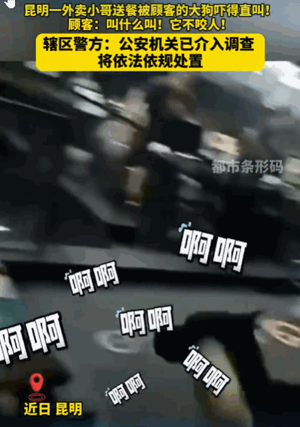 倒打一耙！云南昆明，一外卖小哥送餐上门，顾客开门瞬间，其饲养的大型犬突然冲出，将
