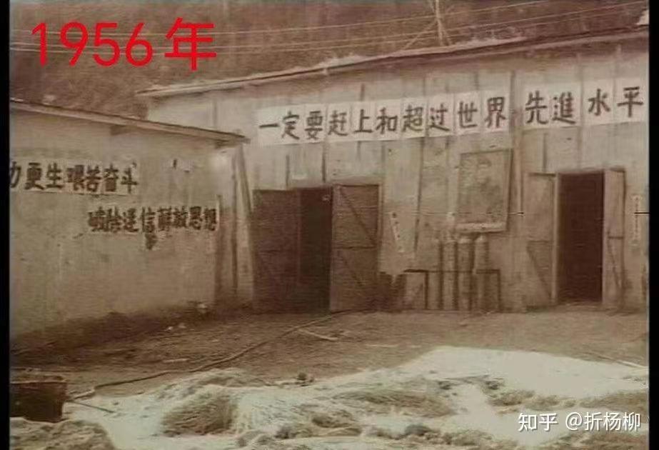 分享图片 ​​​
