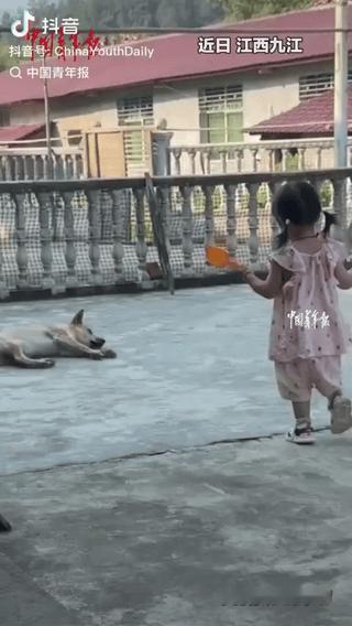 “笑不活了！”江西九江，一岁半小女孩回老家，一眼盯上院中熟睡的狗子，开心跑过去和
