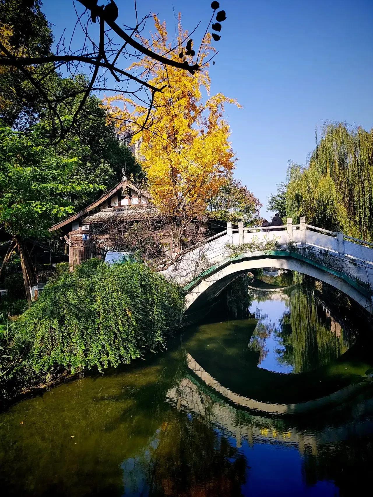 每次回到老家，最让我和妻子头疼的不是旅途的疲惫，而是那一顿看似普通的家常饭。每次