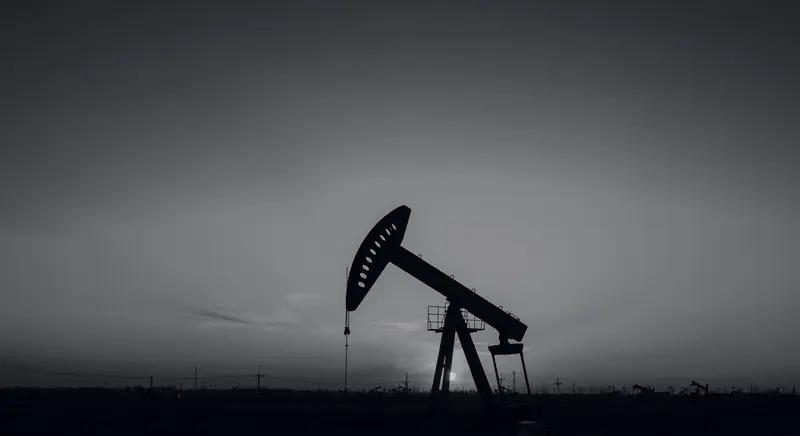 全市场只有三个板块是红的：煤炭、石油、天然气。前几个月被捧上天的算力、CPO、半