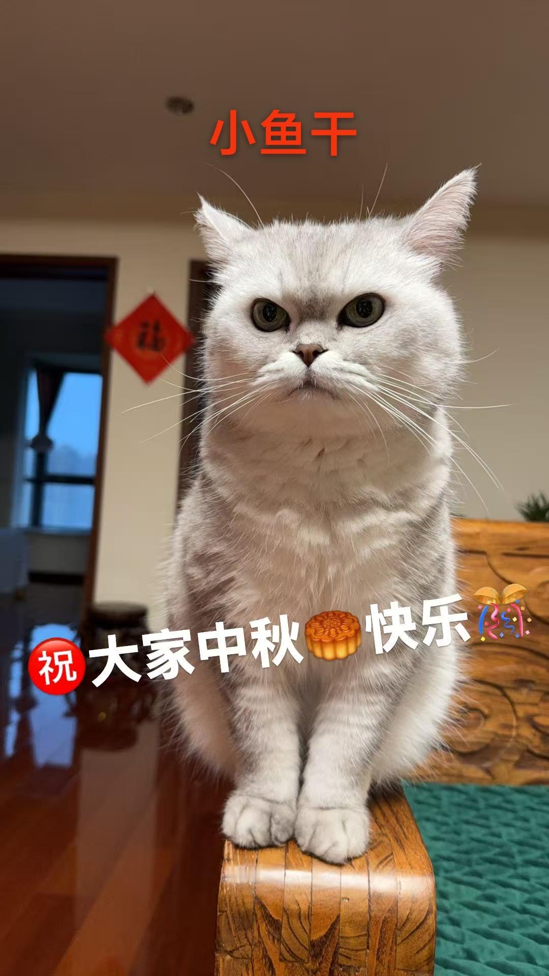 中秋应该快乐

今天是中秋节，开车回家去看望老人。虽然很辛苦，但是快乐是发自内心