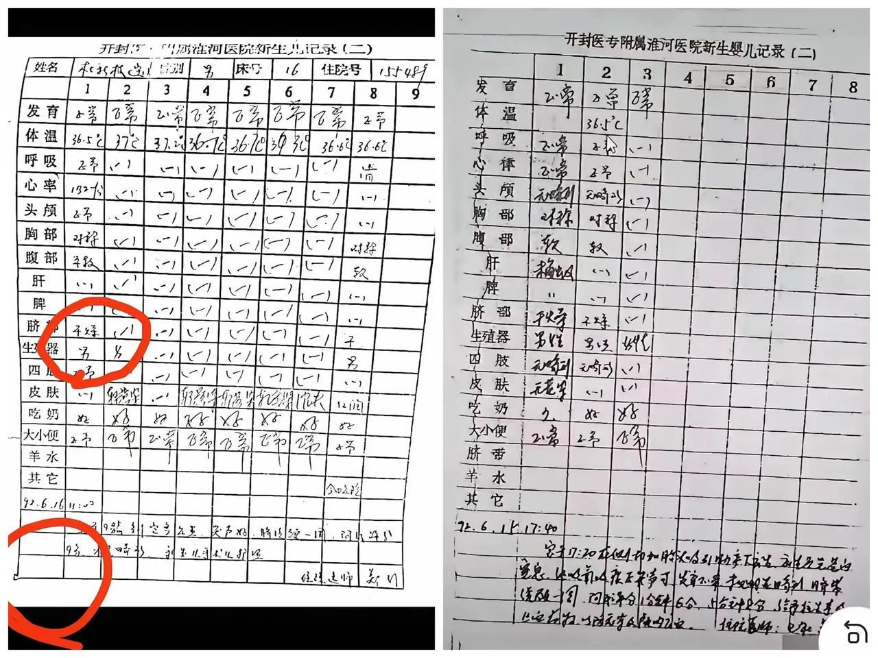 二八换子事件，许敏追查真相，追查真相六年来，做出了关键一步对病历复印件做了部分鉴
