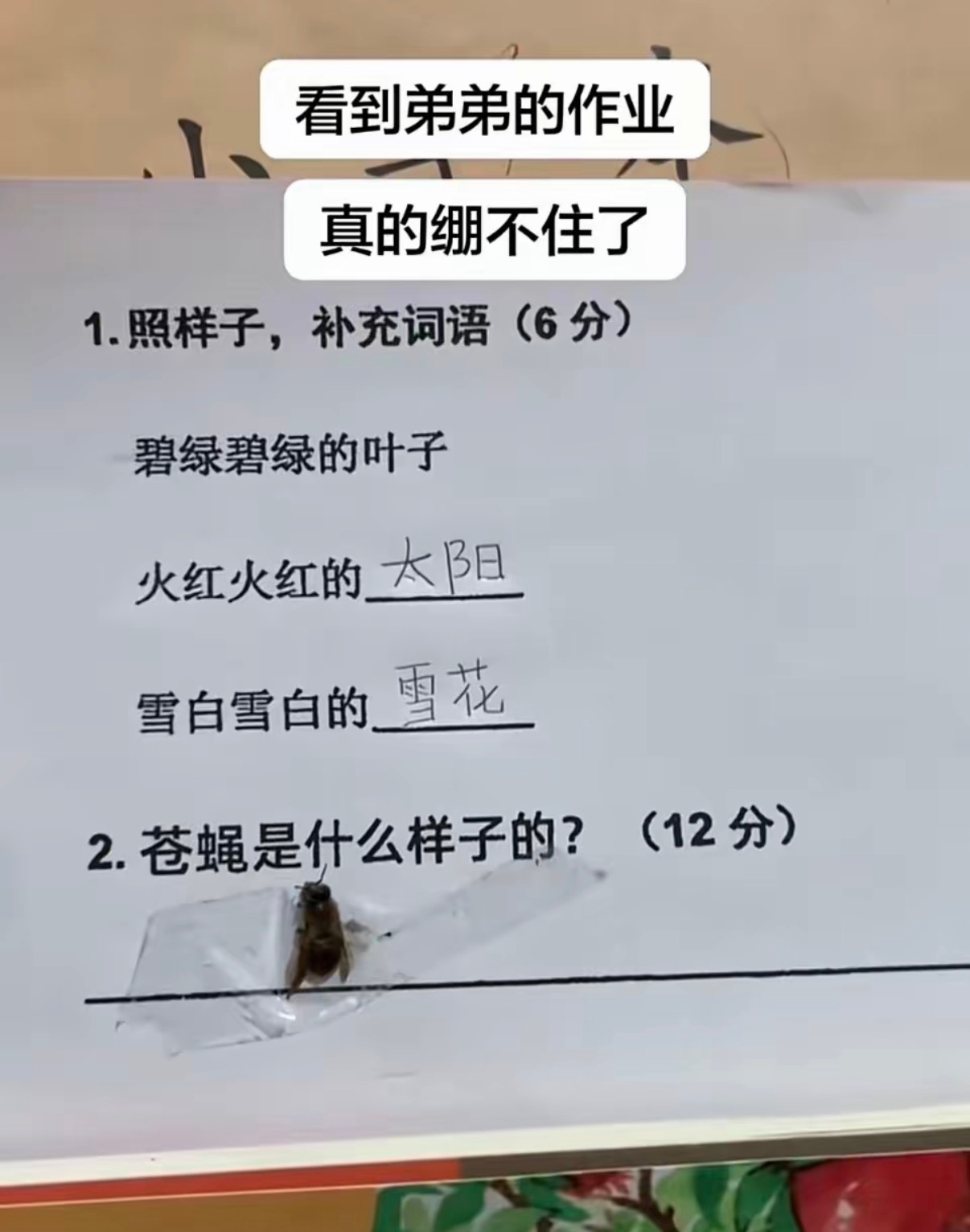 看到弟弟的作业真的绷不住了 