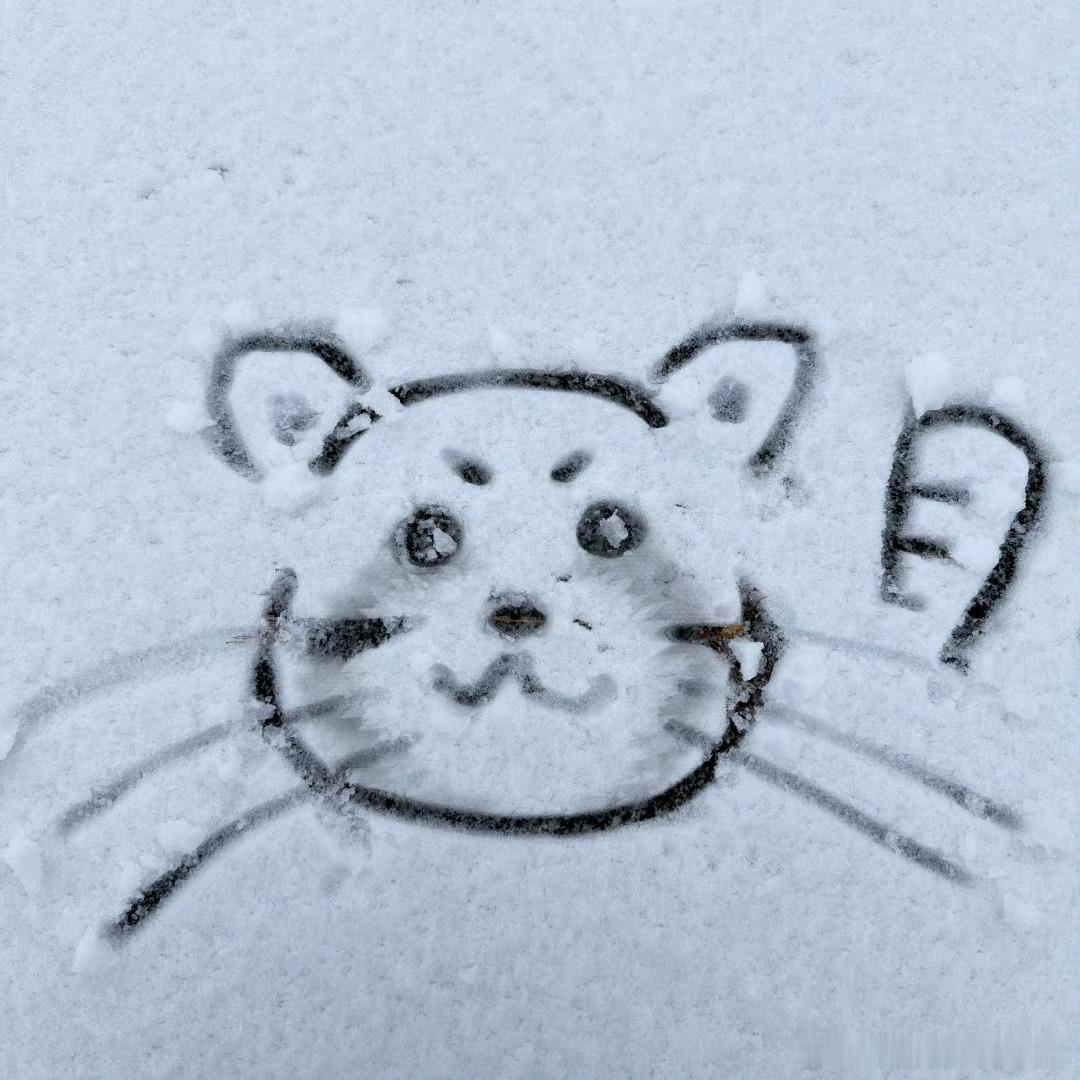 肖战雪地自拍在北方的南方人肖战哈哈哈 