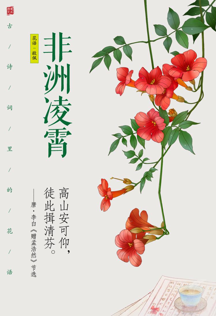 古诗词里的花语（二）🌸一花一草一世界 唯美诗词 花与生活一样美 花期已至美好如