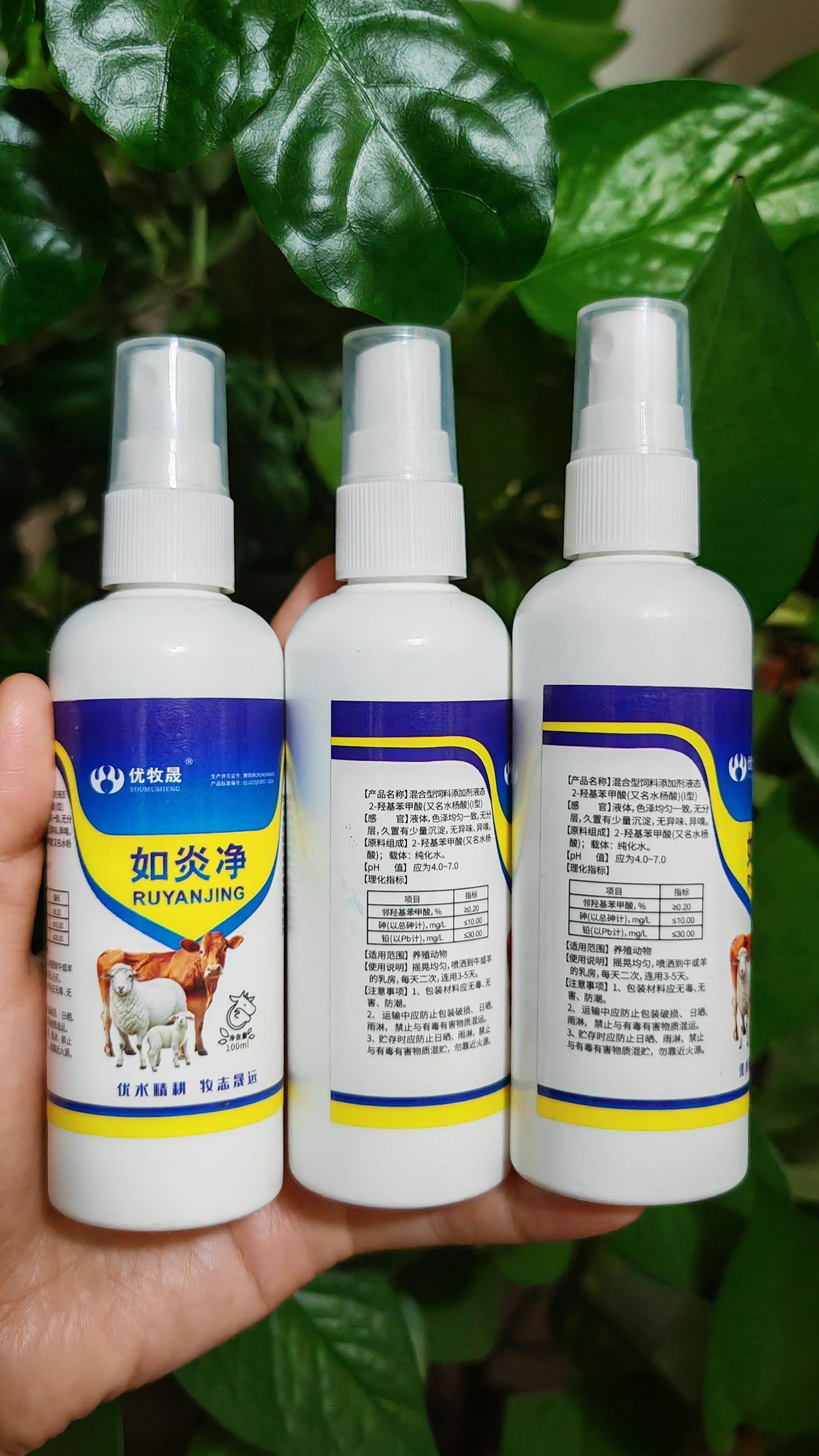 养羊人 农村养羊 牛羊养殖