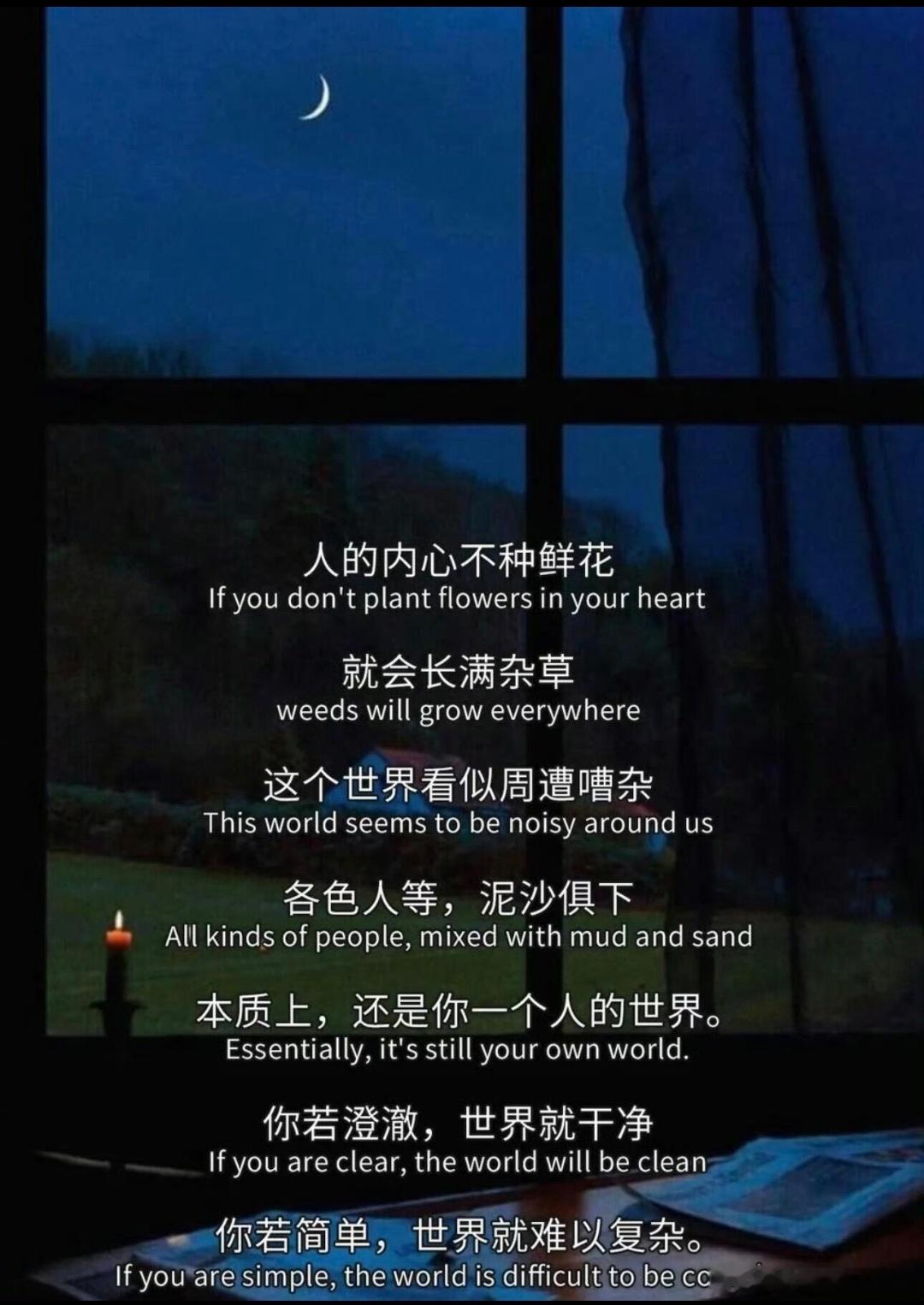 阳光信用[超话]阳光信用 每日一善 每一处风景都是生命的驿站，用乐观的心看待万物
