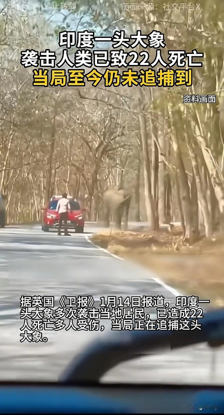 据英国卫报消息1月14号
印度贾坎德邦地区的一头大象袭击了的一个村子，已造成22