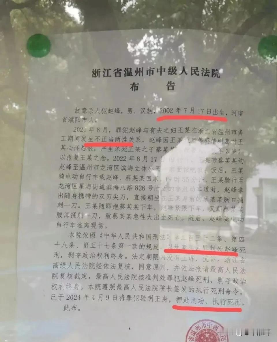 02年出生的，被执行死刑，和有夫之妇发生不正当关系，然后因对方流产产生感情纠葛，