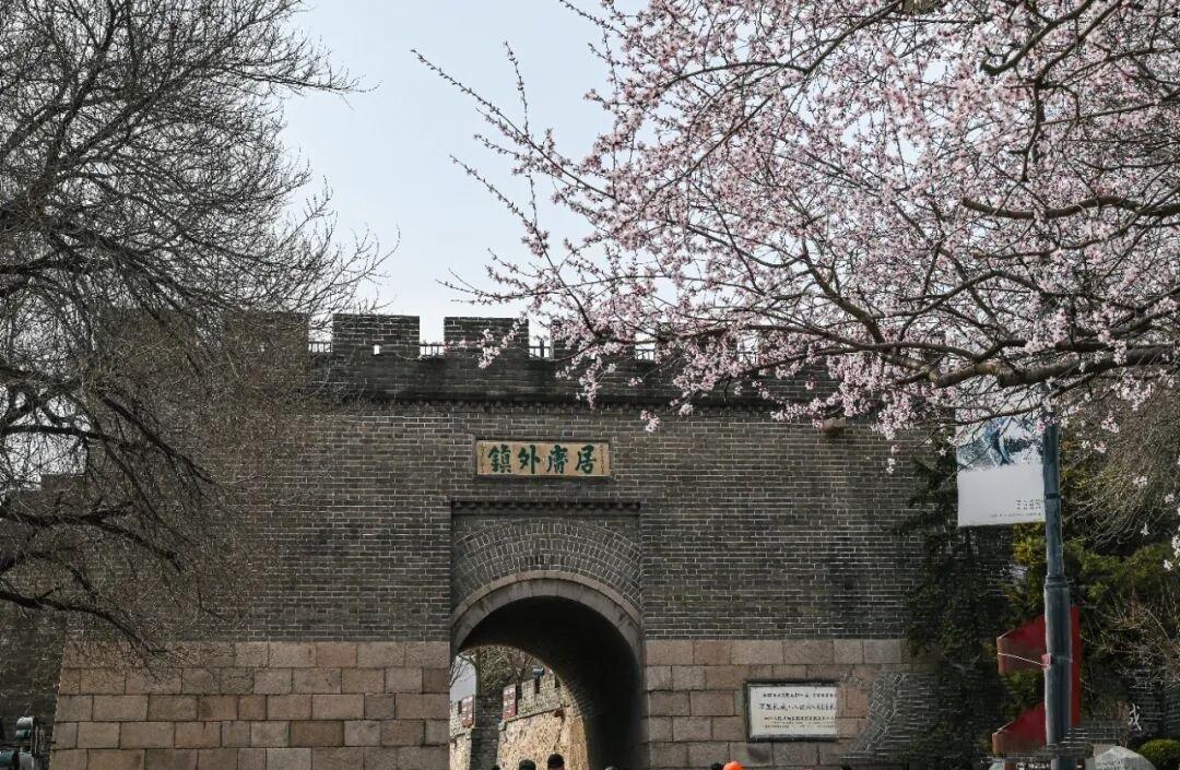 塞外庸关，那可是藏着无尽镜头之美的地方。站在古老的关隘前，斑驳的城墙诉说着历史的