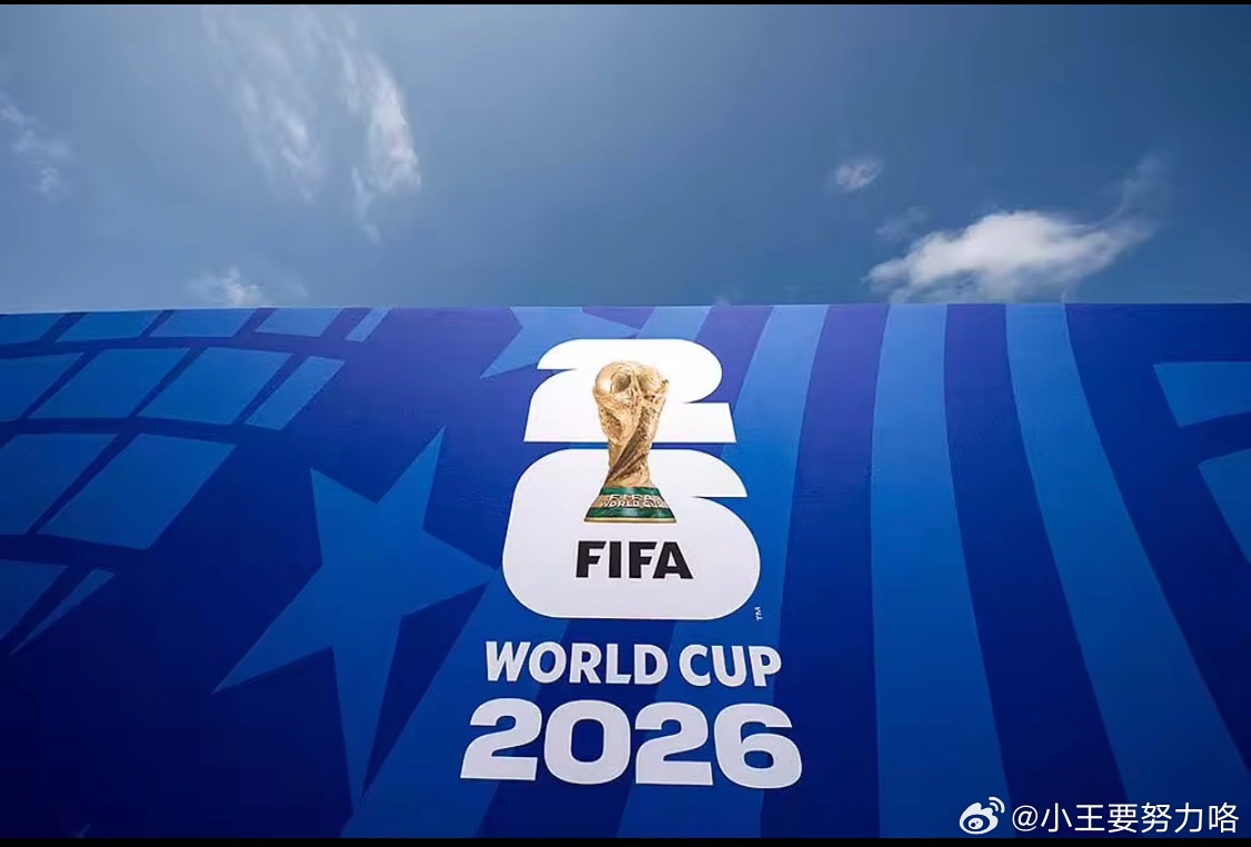 D组大结局：美国、澳大利亚出，巴拉圭第三能否出线待定6月26日世界杯D组末轮全部