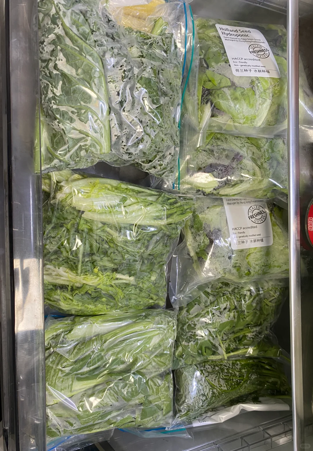 本周蔬菜整理完毕！