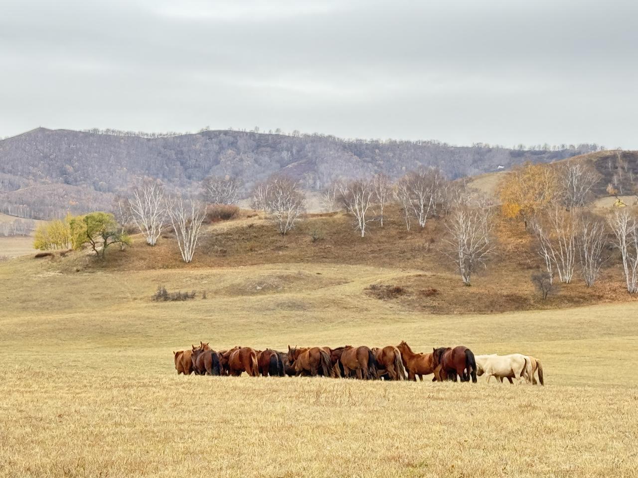 怎样拒绝孩子得流感最主要到人多的地方要戴口罩，回来洗手，避免交叉感染