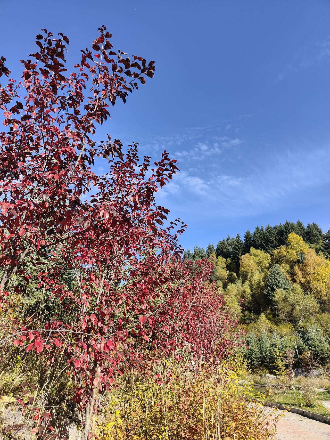 随手拍几张我所在城市的蓝天白云美景