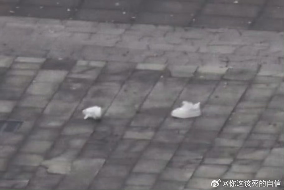 贺峻霖桃花坞鞋子跑掉了贺峻霖鞋子跑掉了路透 真服了哈哈哈哈哈 