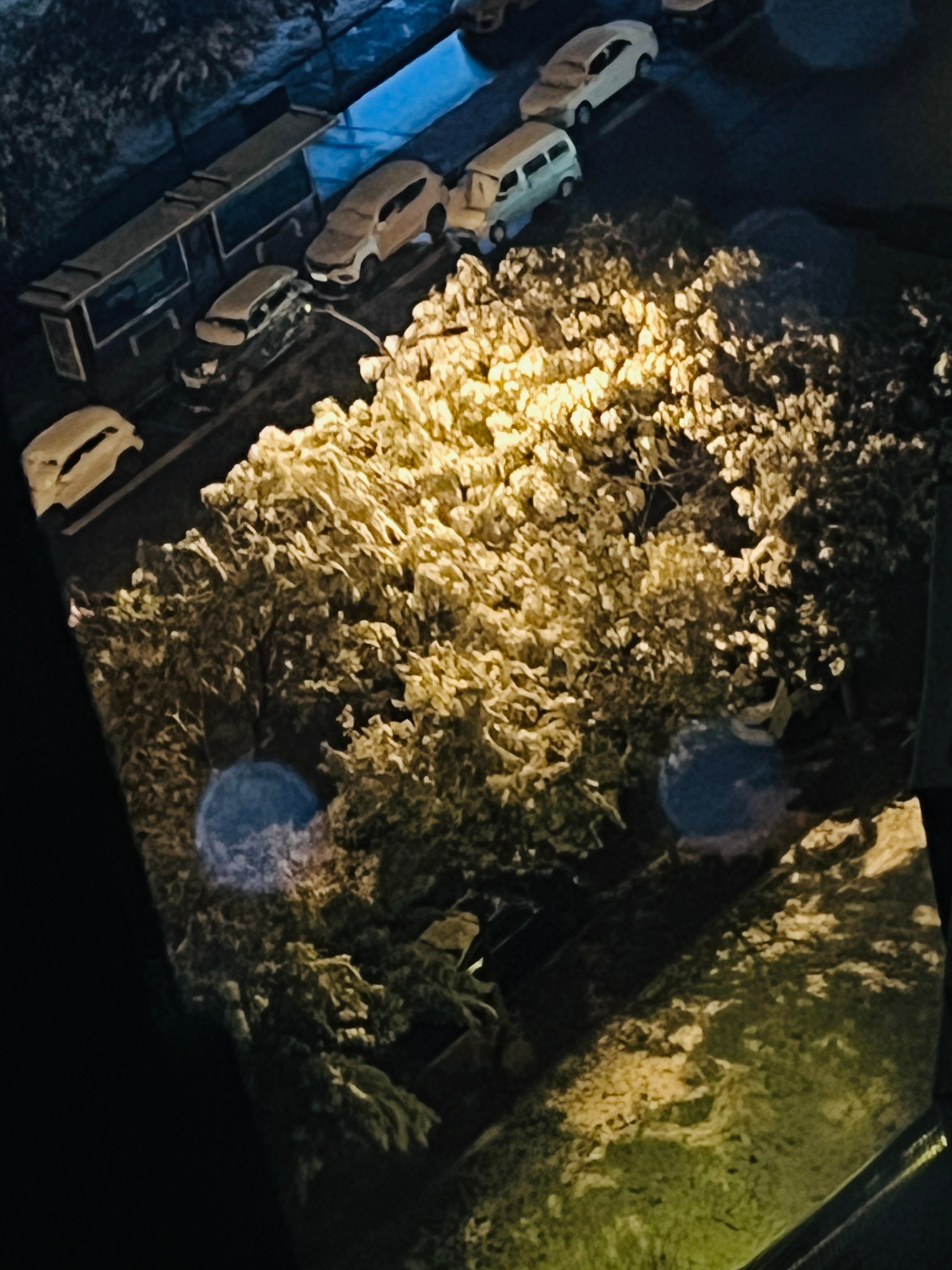 真的下雪了诶！！！在窗边摸到了初雪[开学季][开学季] ​​​