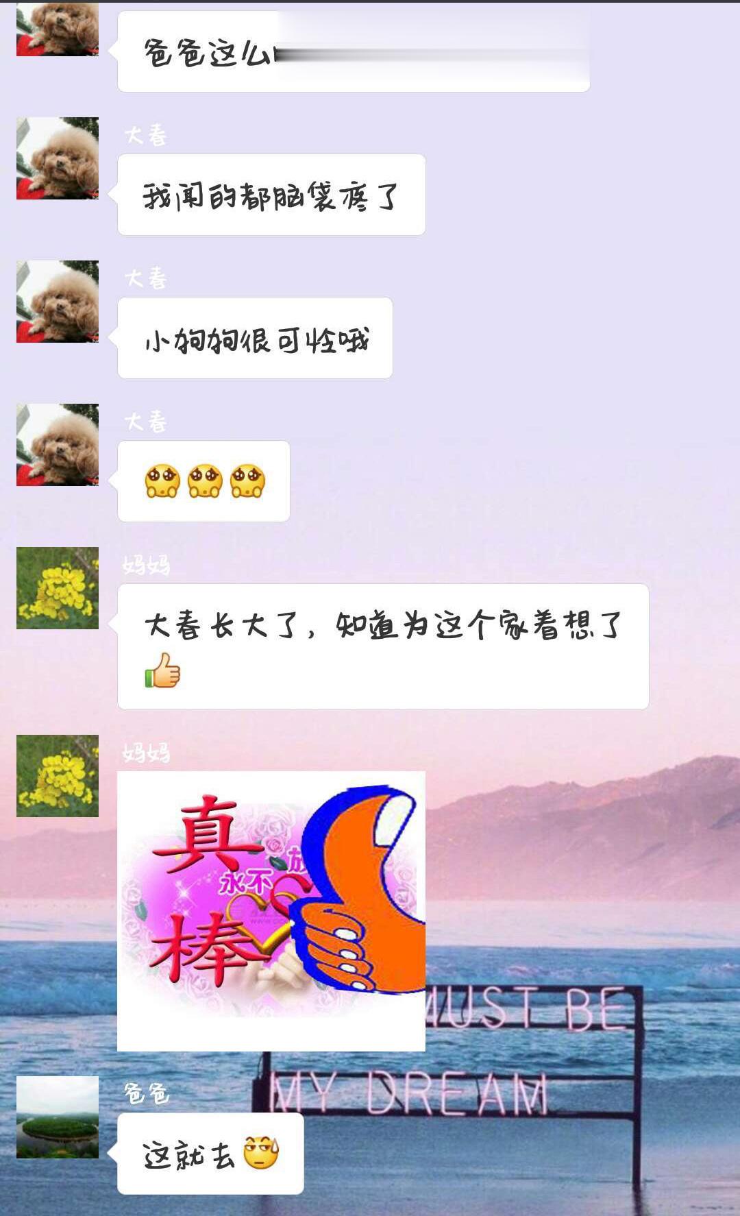 当我妈给我家狗注册微信后 ​​​