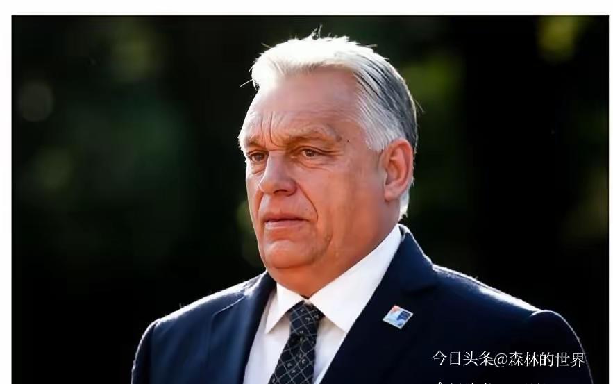 特朗普劝匈牙利别买俄罗斯能源，被总理欧尔班当面“怼”了回去，理由实在太接地气。