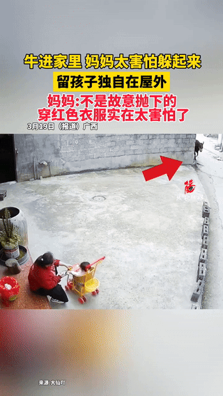 “这下真解释不清了！”广西，一宝妈带着婴儿在院子里玩耍，结果没想到，几头牛突然闯