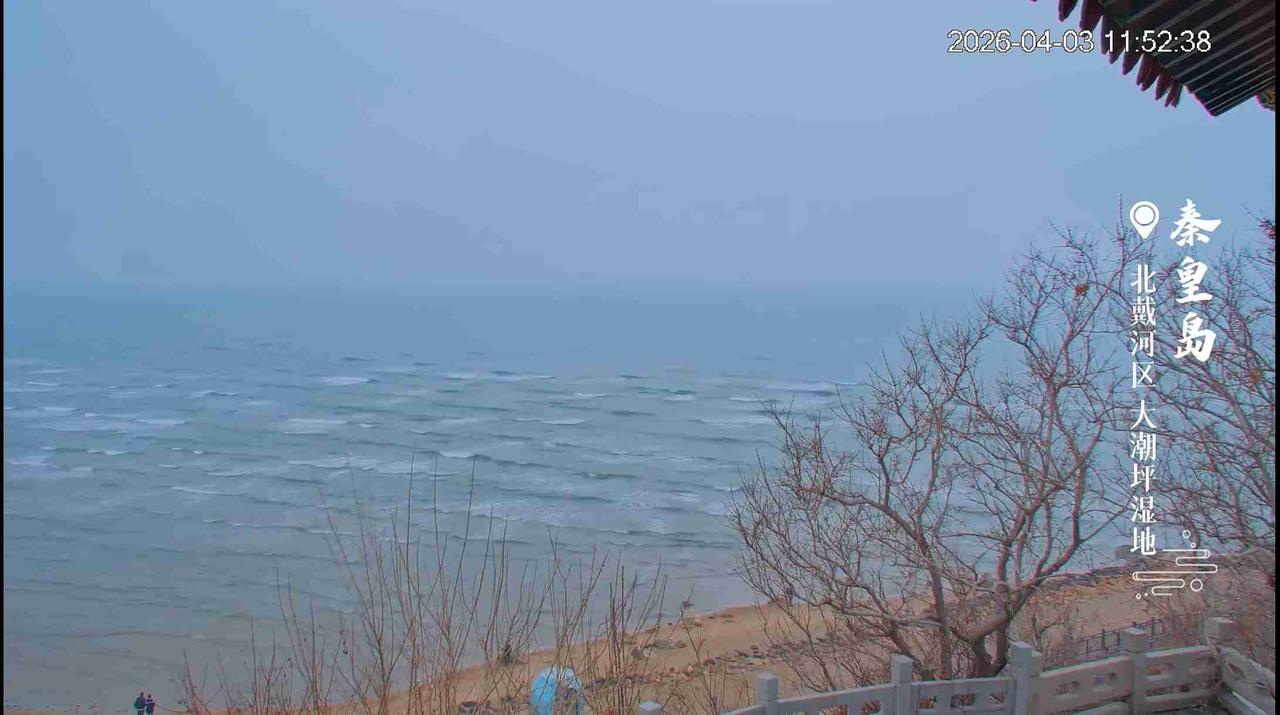 清明雨中观秦皇岛大潮坪湿地

清明雨霁海云低，
大潮坪前浪拍堤。

枯树临沙愁带