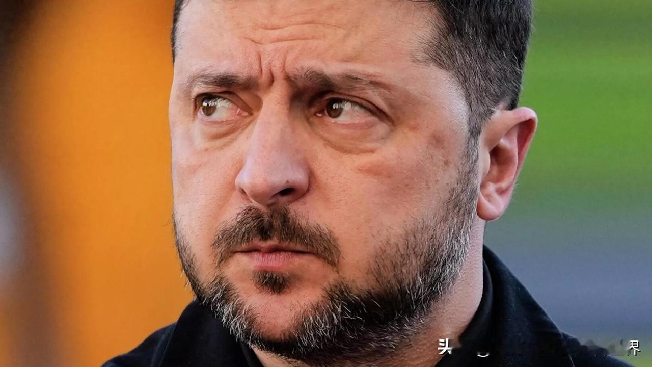 有人担心泽连斯基得了欧洲的900亿欧元军援后，可能会携款跑路。对此，我是赞同的。