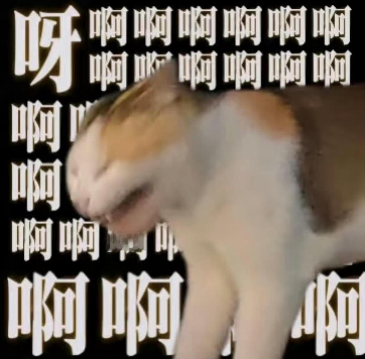 广州惊现价值一套房的游戏账号从单纯的娱乐消遣，到具备变现能力的数字资产，游戏账号