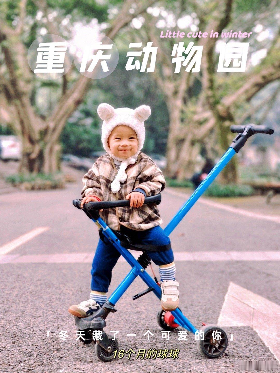 #重庆旅行##亲子旅行漫游记# 动物园是个遛娃涨见识的好地方，重庆旅行我们就带着