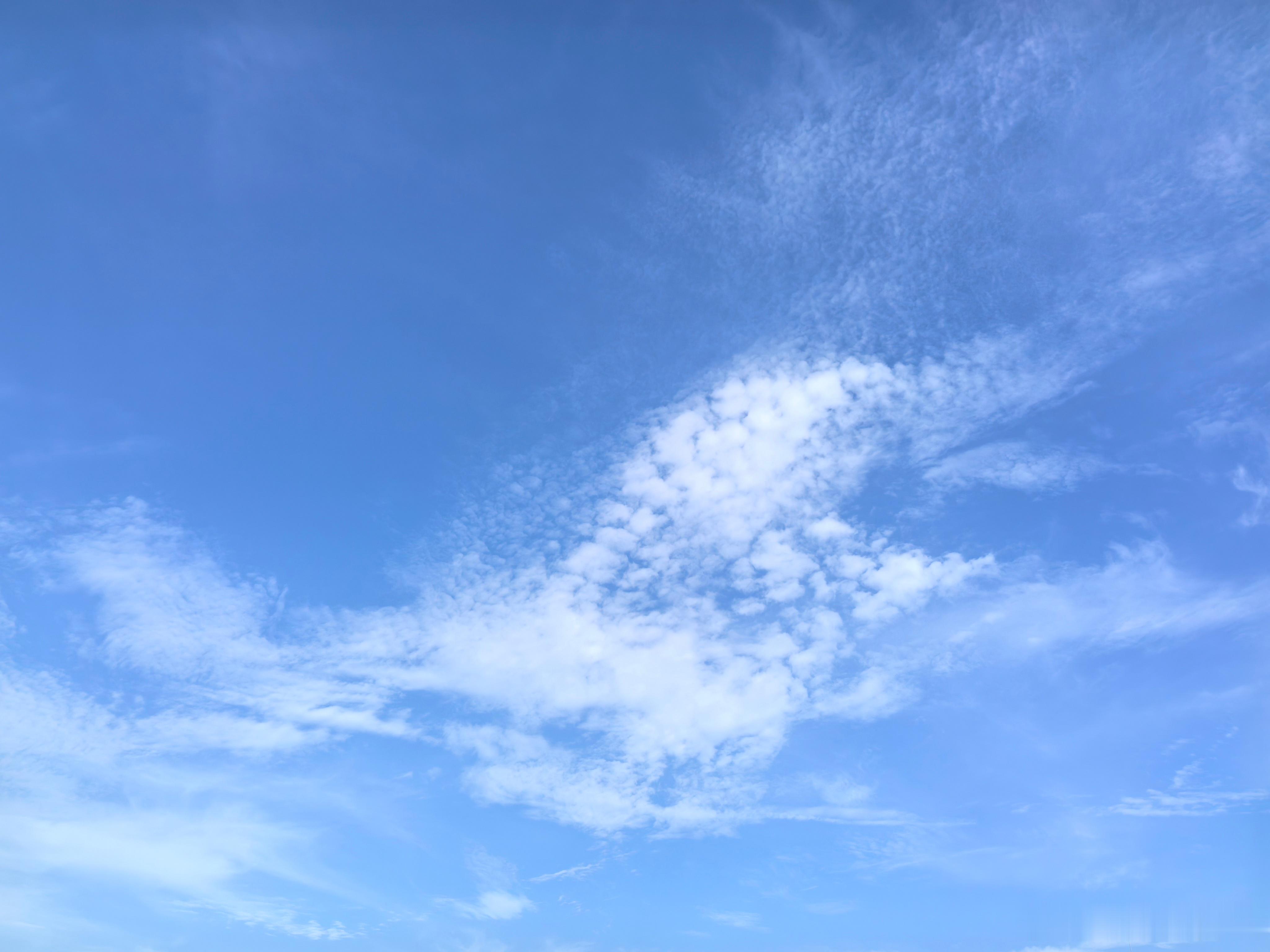 明天的你会是什么样子，不仅取决于你是否不断在学习，还取决于你一直与谁为伍。 苏州