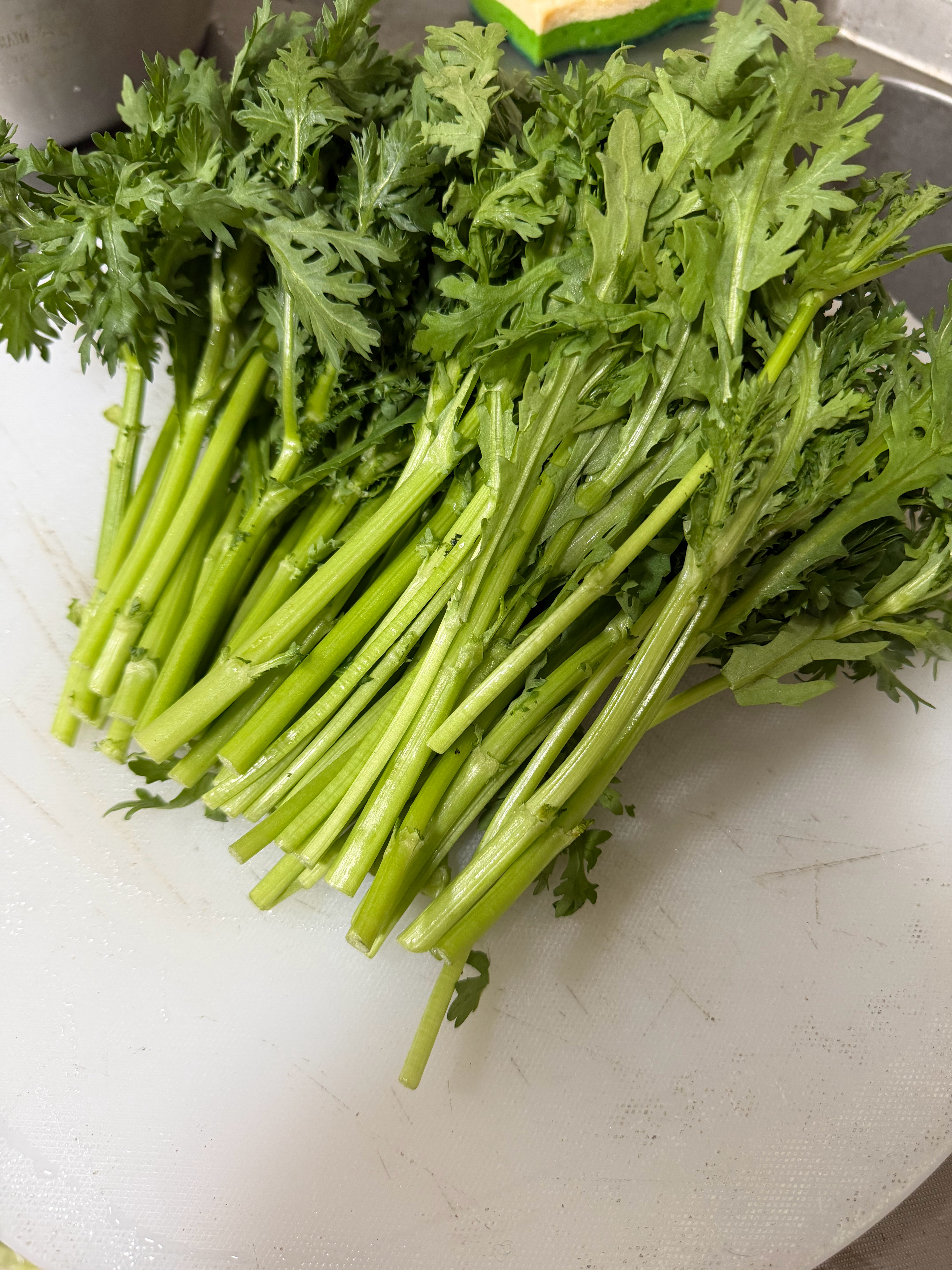 放眼整个深圳湾，蒸茼蒿这块，我有话说 