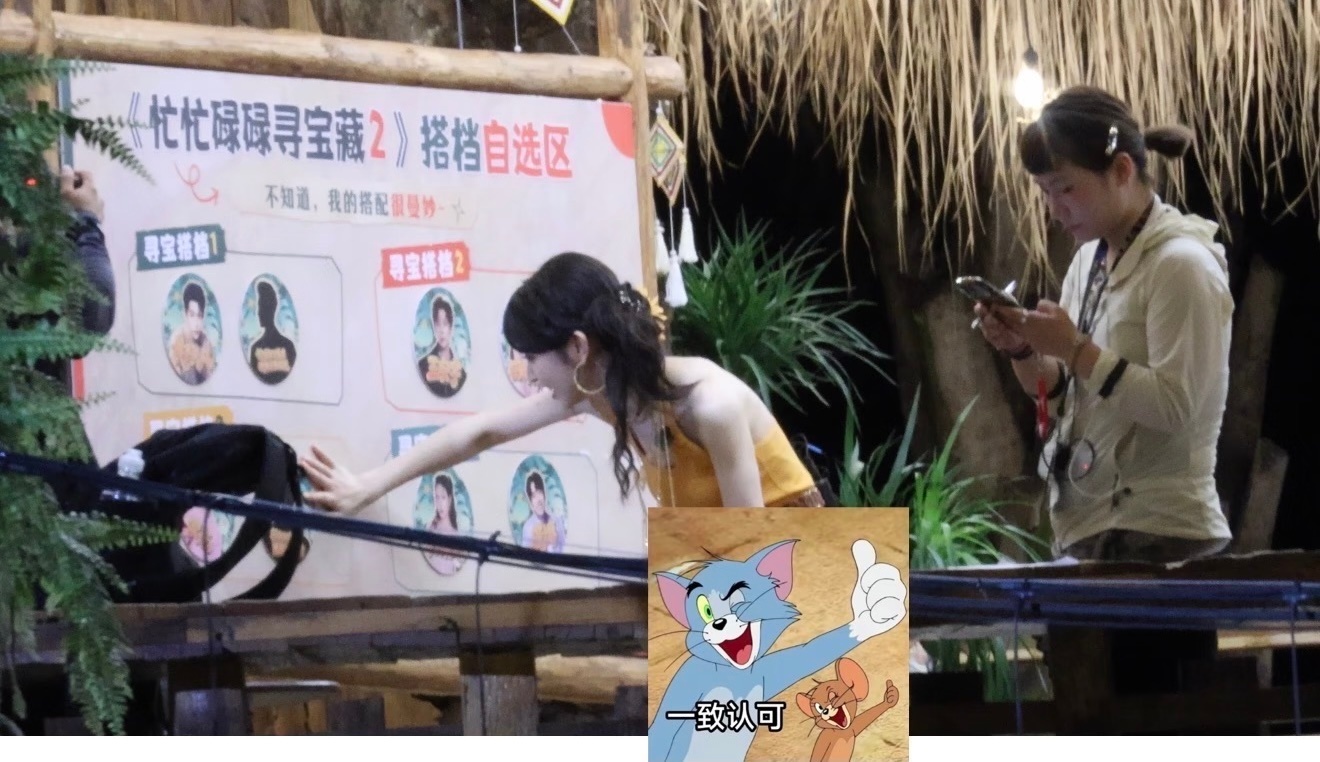 这个忙忙碌碌寻宝藏2搭档自选的诶！ 