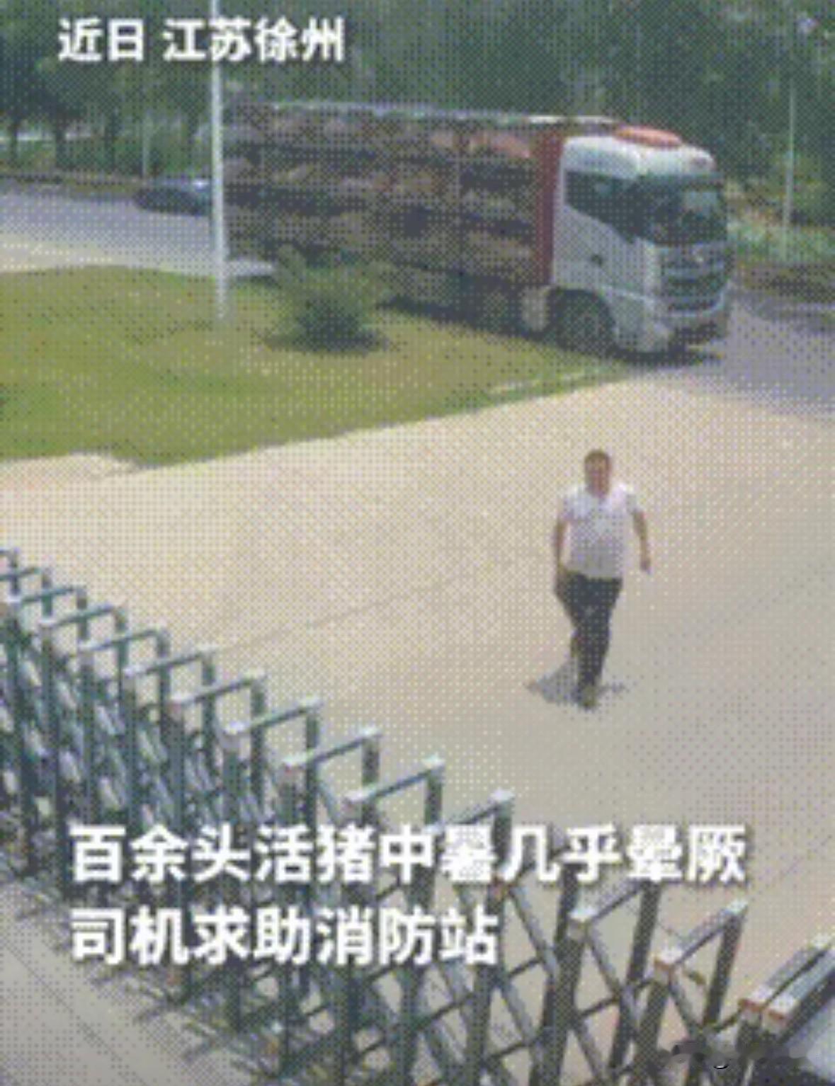 同志，“我的车上一百多头猪！全部中暑了！快不行了！”

一个司机冲进消防站，嗓子