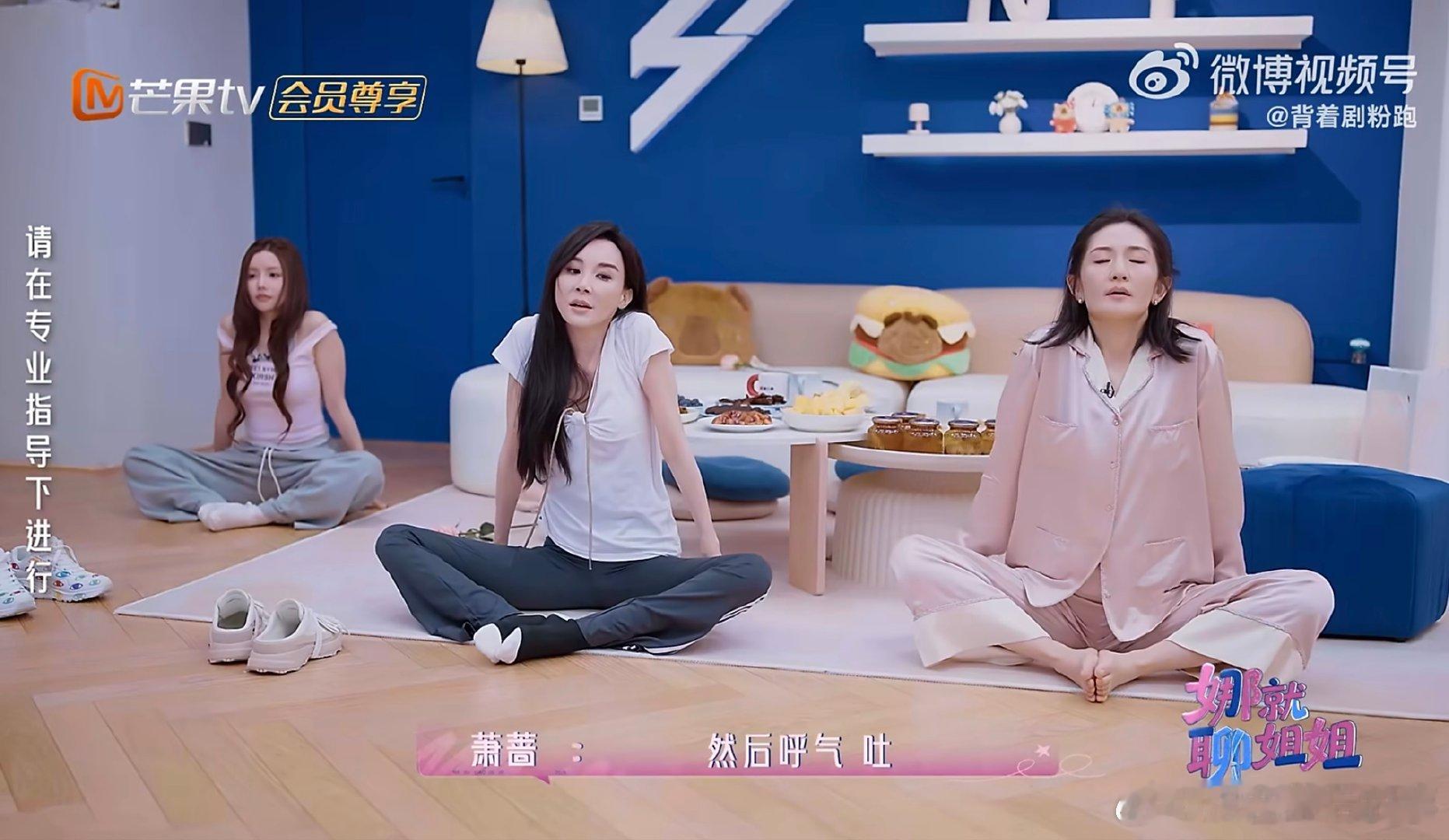 谢娜一字马说学就学 乘风2026日常尽显随性可爱，热爱学习的模样尽显真实个人魅力