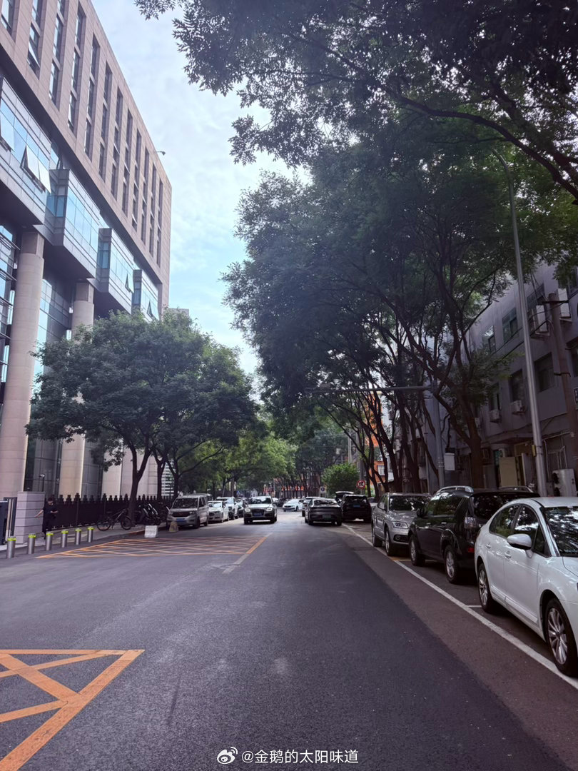 立秋了 真的就一下子凉快了一早吉祥他们仨去青岛 质问我为啥不去我说往返800多块