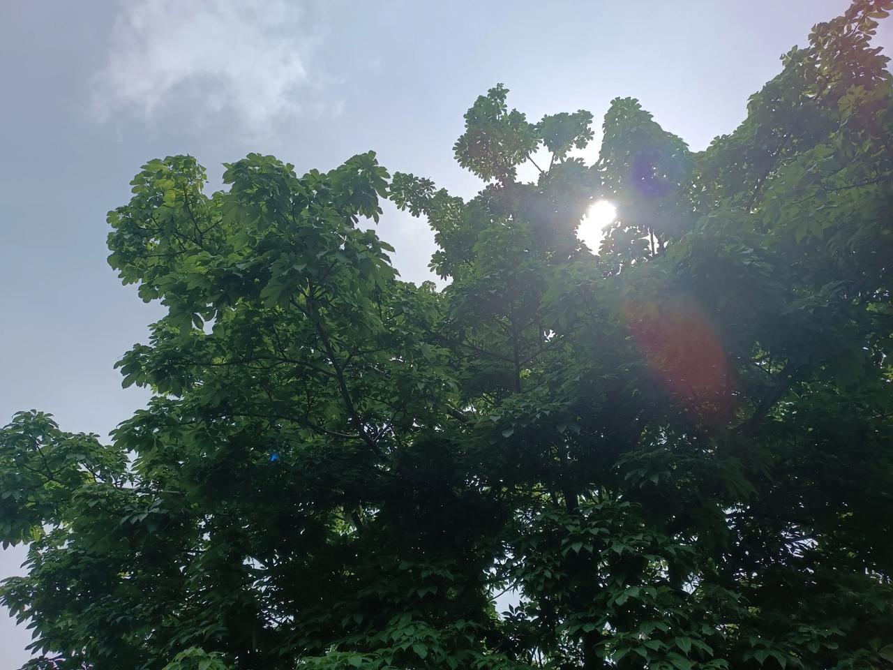 今天天气好晴朗
阳光明媚
阵阵东风
棒棒哒
[送自己一朵花][送自己一朵花][点