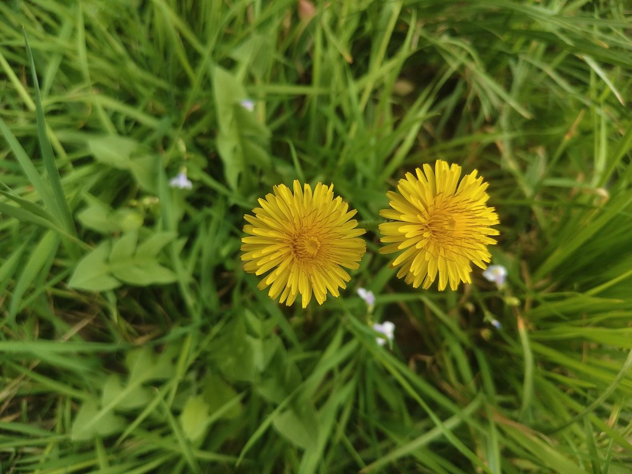 春日生活打卡季 春日生活打卡季到啦，别再羡慕别人朋友圈里的春日大片。其实不用出远