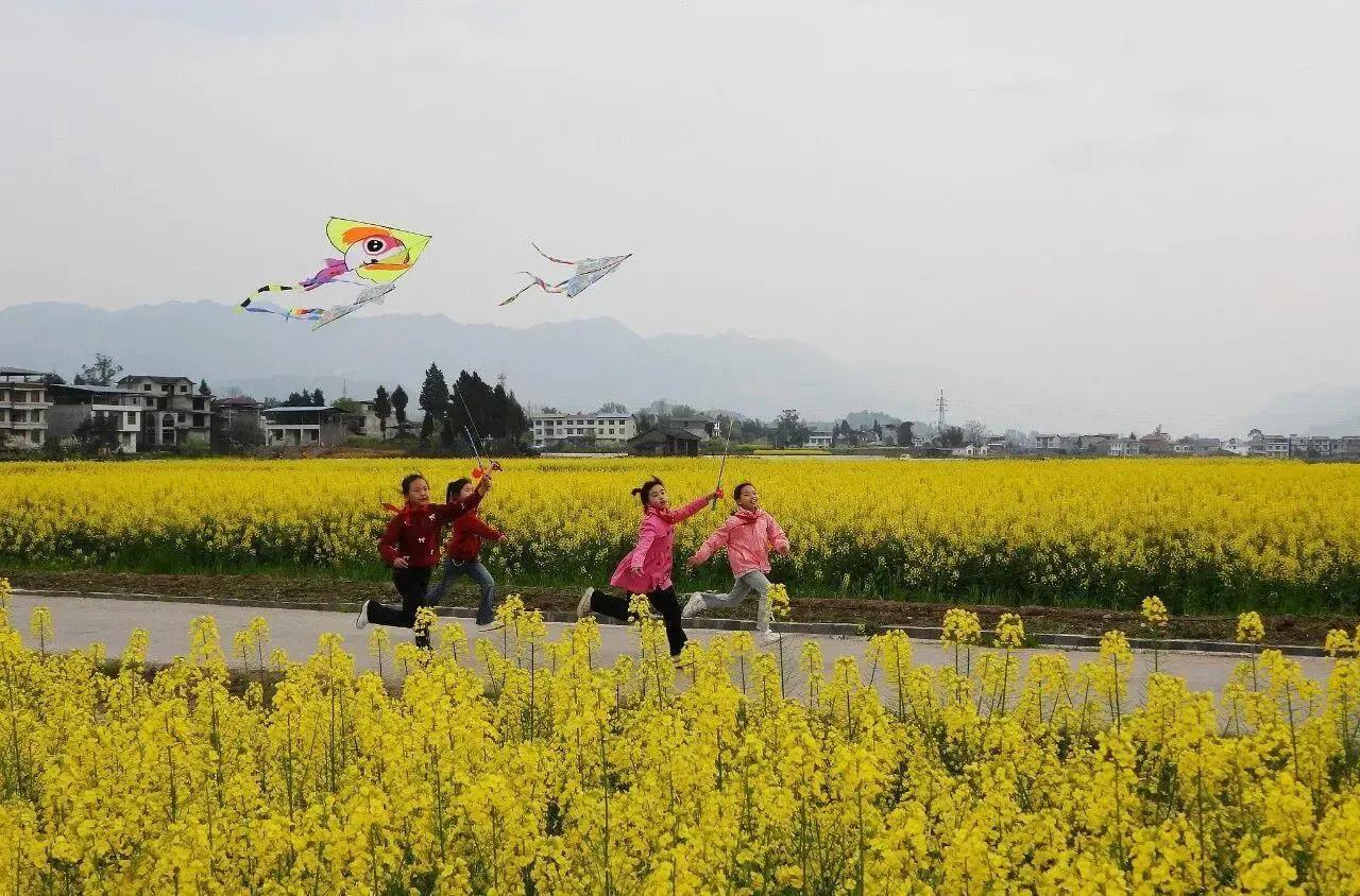 最近，山东、湖南、贵州这些地方的教育部门陆续下发文件，中小学开始推行春秋两季假期