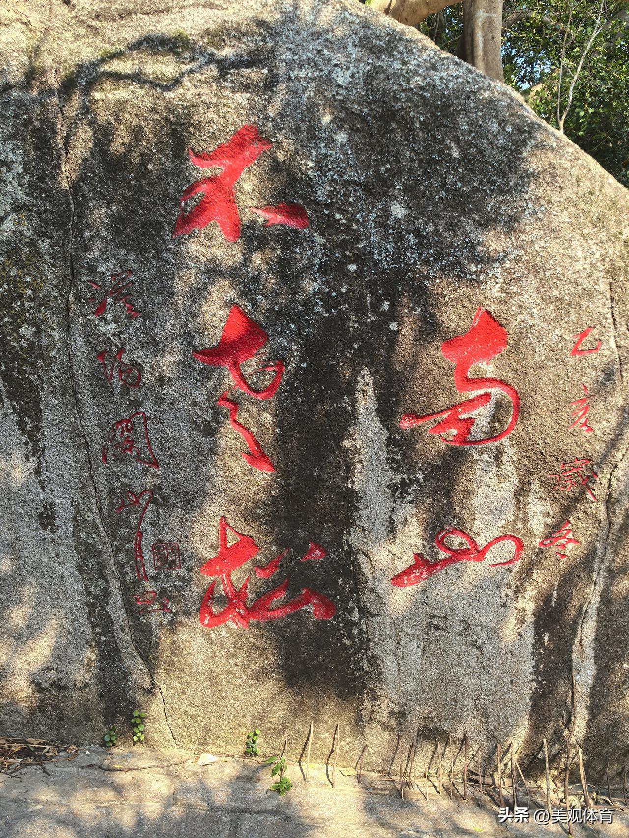 大小洞天的“南山不老松”