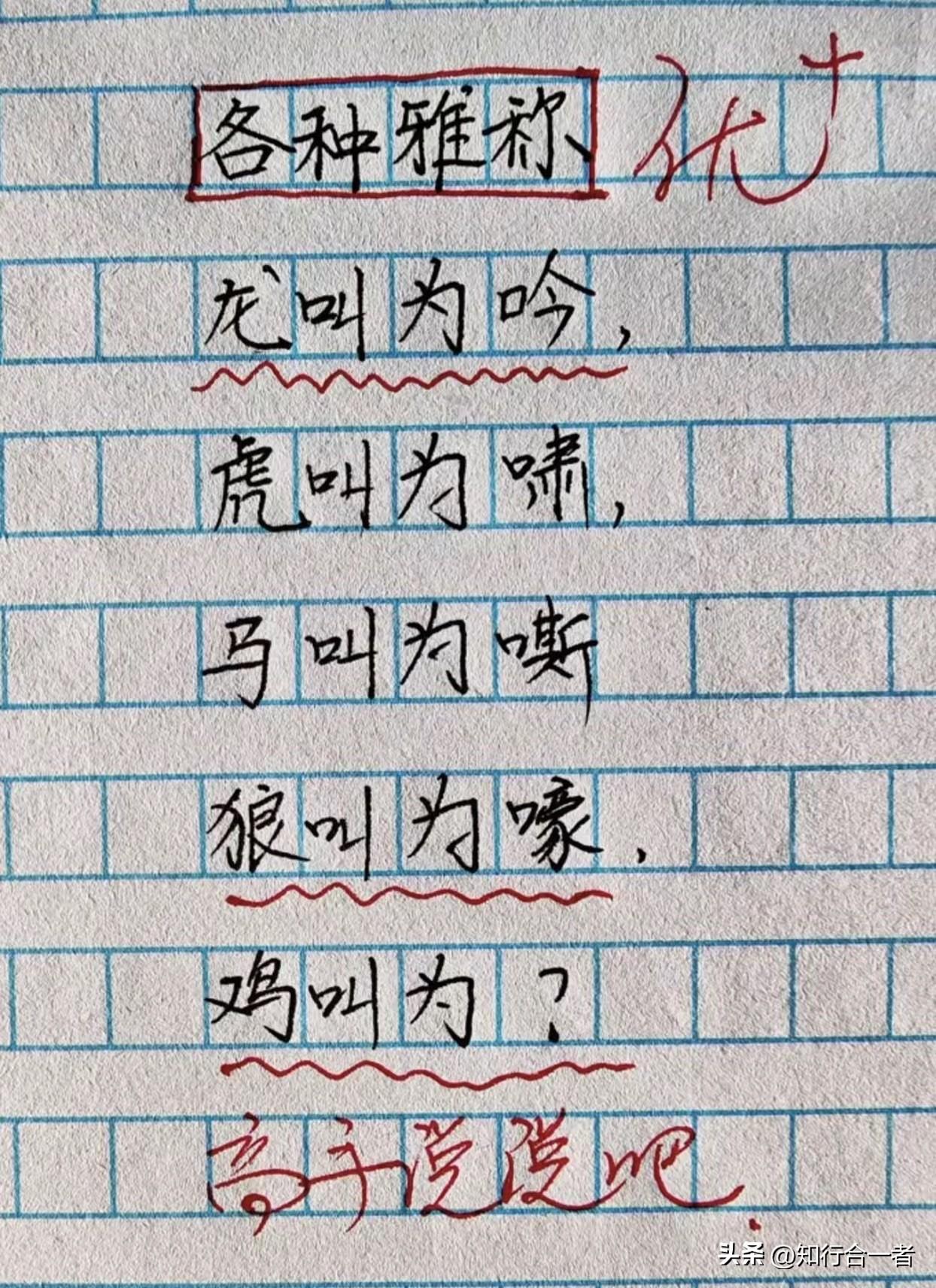 “鸡叫为什么？”——探索动物叫声的奥秘！🐔🐾