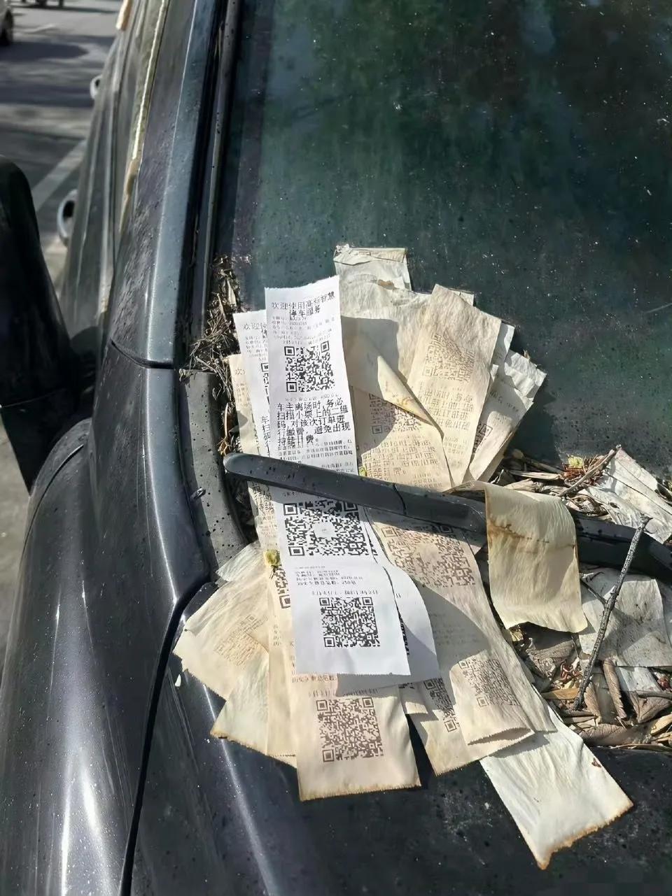 一般这种车的主人，都去哪了啦？