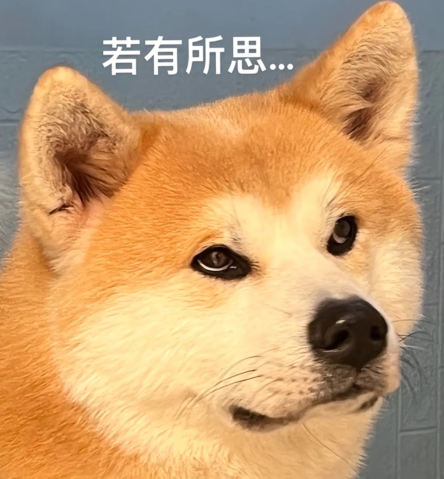 知名便利店卖过期椰子水致多人腹泻真的是，Windows人设，这么难，硬是被洋芋立