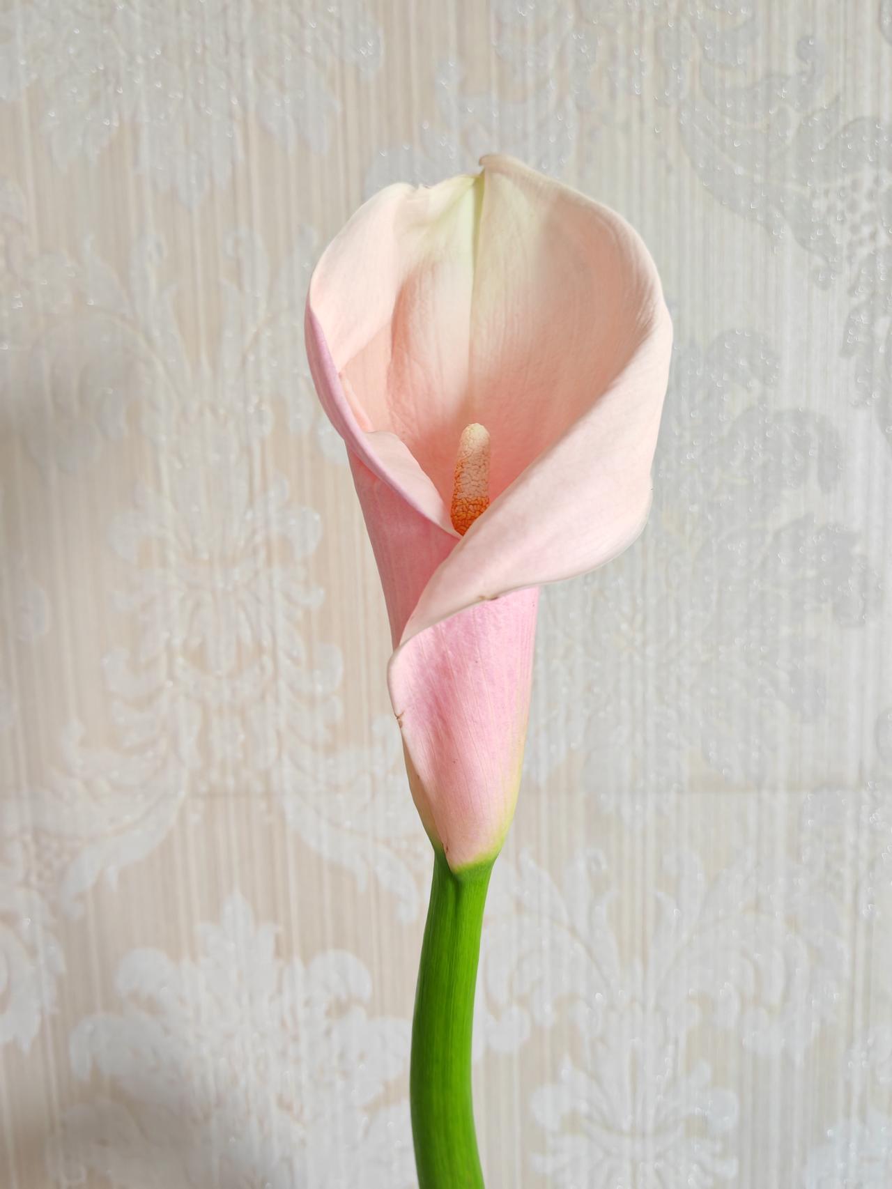 尽管才2861.7元，我也是挺开心的， 亲人们也都为我高兴。

96年11月单位