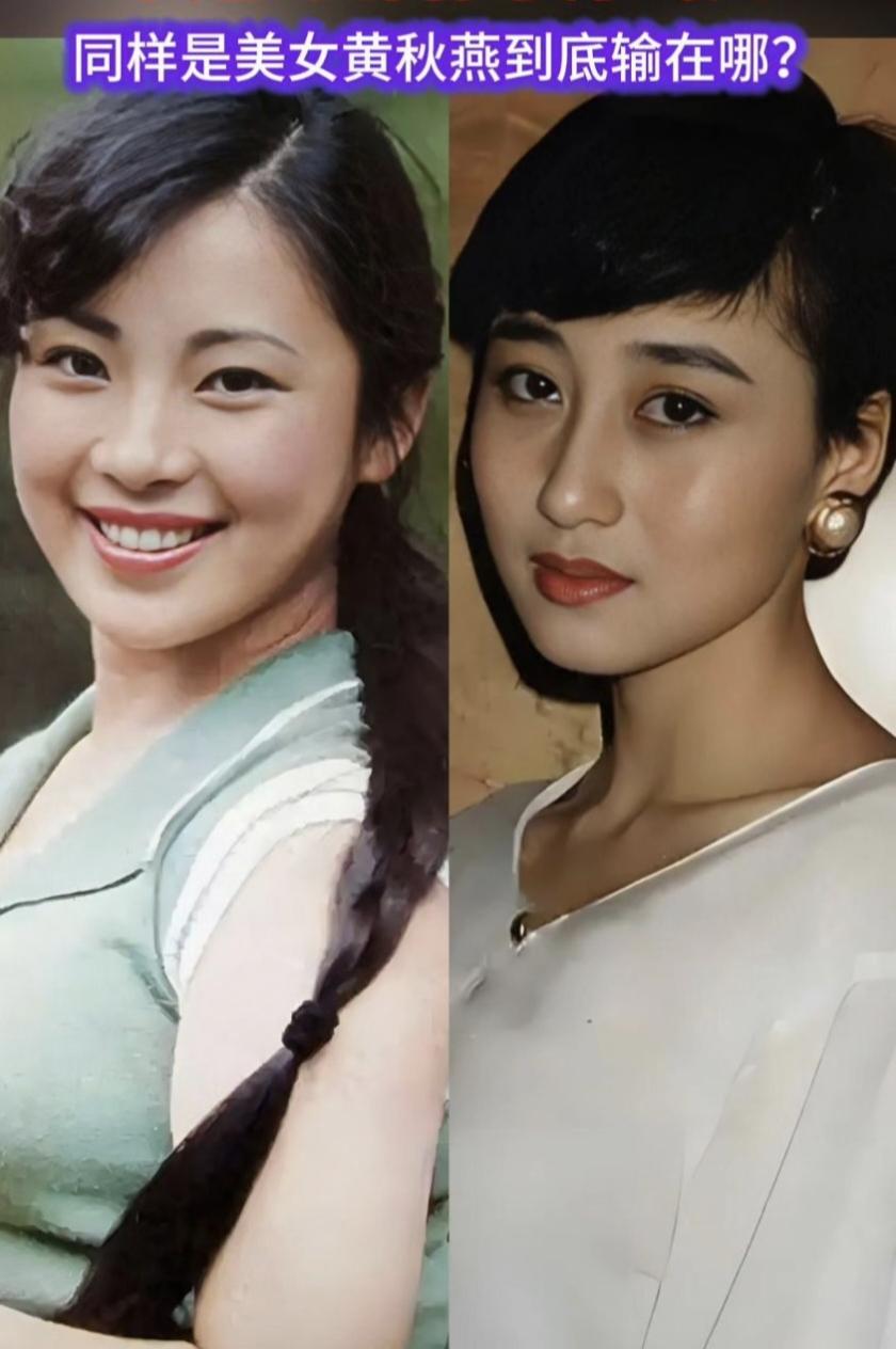 向太谈李连杰：“他是个好丈夫！大家说他“抛弃前妻”是不对的，当年他是净身出户，还