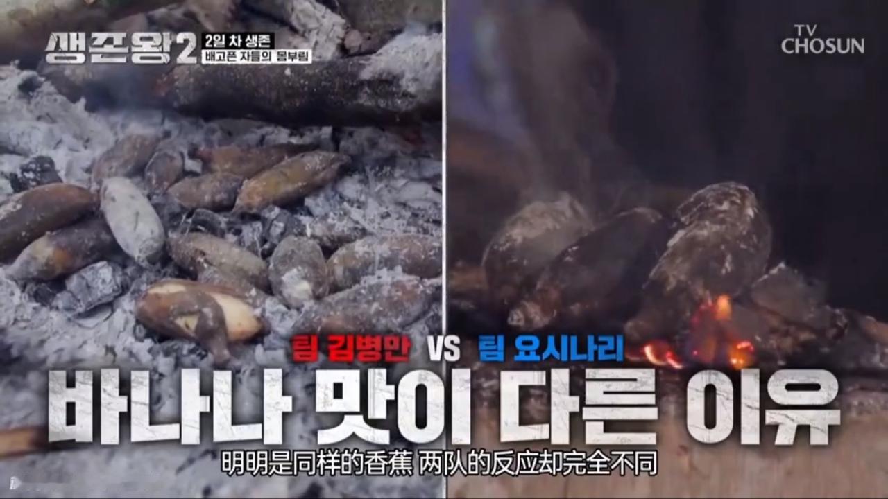 韩国综艺片子就是类似于野外生存的，不得不说金炳万真的演的生存能力很强，他能分辨野